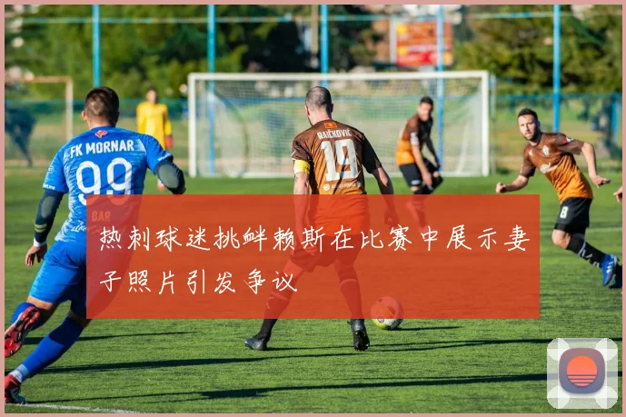 热刺球迷挑衅赖斯在比赛中展示妻子照片引发争议