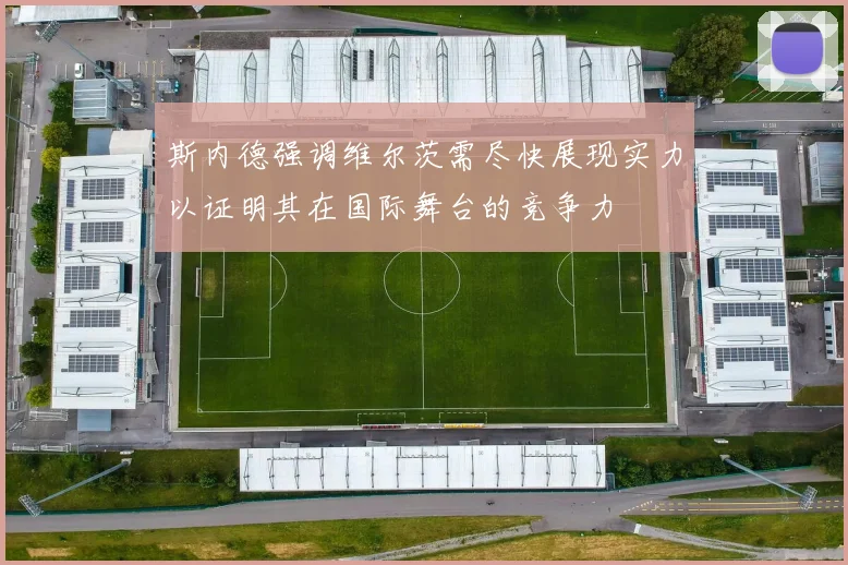 斯内德强调维尔茨需尽快展现实力以证明其在国际舞台的竞争力