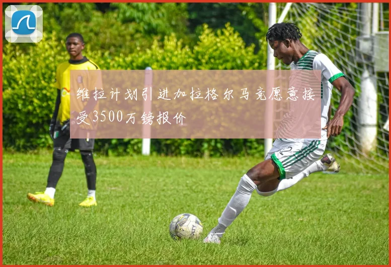 维拉计划引进加拉格尔马竞愿意接受3500万镑报价
