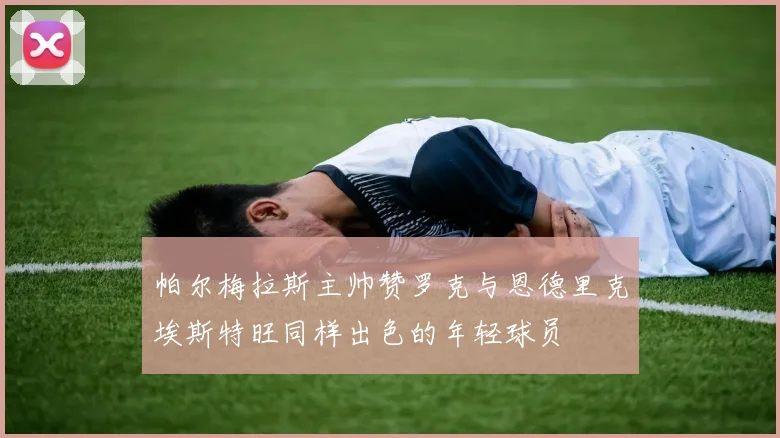 帕尔梅拉斯主帅赞罗克与恩德里克埃斯特旺同样出色的年轻球员